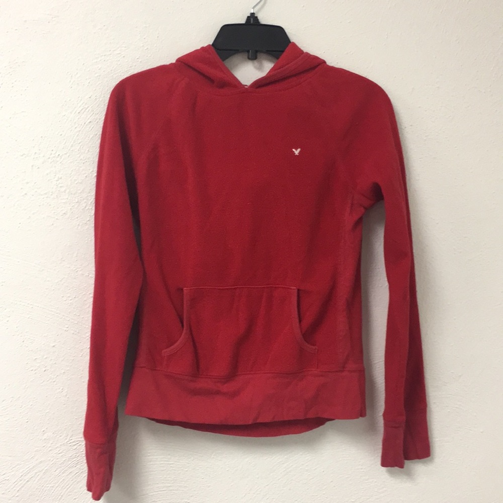 Hooded American eagle sweater.